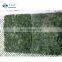 Sinocharm Healthy and fresh without foreign matter Frozen Vegetable Frozen BQF Spinach