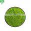 in stock Green barley grass extract powder