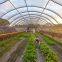 HDPE Sun Shade Net Agricultural Shade Net UV Resistant with Guarantee 5 Years