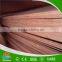 Hard Wood Plywood
