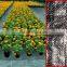 PP WOVEN WEED CONTROL MAT/GROUND COVER/LANDSCAPE FABRIC