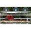 Long Window Bird Feeder For Small and Large Birds Enjoy Viewing Birds in the House