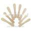 Popsicle stick ice cream art