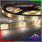 NEW Arrival! 60Leds/meter CRI 90 Double CCT Led Strip SMD2835 with CE,Rohs