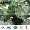 hot sale artificial ivy leaf carpet tall fake palm trees plants