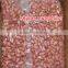 peanut kernels 21/23 24/26 24/28