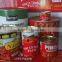 Good Quality Tomato Paste, Hot Sizes 70g ~ 3000g