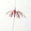 Yongyi Party Decorative Umbrella Sticks