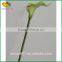 wholesale real touch flower high quality artificial Calla flower