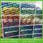 Custom authentic adhesive genuine security hologram stickers