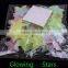 fluorescent toys / Glow in the Dark star Sticker Packs / Fluorescent stickers