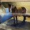 Rubber horse stable Mat/ stable mat