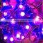 DC5V programmable IP68 waterproof cheap ws2811 led