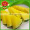 wholesale red yellow watermelon Farm Growing watermelon fake watermelon