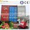 China Best Supplier Green coffee bean peeling machine
