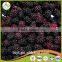 Sell China Frozen Blackberry Fruit, Frozen berries Grade A