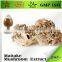 Free Sample Maitake Mushroom Extract Powder