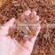 High Quality Chinese Dried Organic Ginseng Root Slice