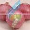 Producer, Grower & Exporters of Fresh Indian Vegetable Onions