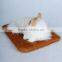 Lifelike lying display small animal cat recordable voice modules plush toys