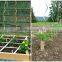 factory supply galvanized plant support tomato spiral stakes