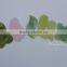 jade stone roller gua sha board massager