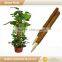 2017 New garden coconut plant support poles