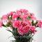 factory directly sale fresh flower carnation Fresh Cut Flowers Processing Type