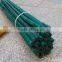 Dyed Different Colors Bamboo Sticks for Garden&agriculture