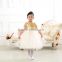 1-6 years old baby girl dress / baby girl wedding dress/ baby flower girl dress hot photos