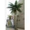 artificial coconut tree