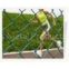sell chain link fence