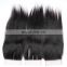 Top grade cheap Malaysian hair lace closure, Virgin cuticle aligned hair lace frontal piece invisible part