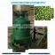 automatic green dry beans skin peeler /dried soybean peeling machine