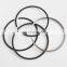 Construction Machinery 3103157 4058969 Diesel Engine Piston Ring