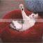 Wholesale Washable Luxury Plush Comfortable Easy Clean Dog Pet Bed from China Manufactory