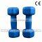 China factory price colorful fitness accessories dumbbell for sale