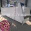 Commercial feed conveyor belt fruit dryer cassava rice drying machine