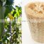 100% Natural Loofah Sponge Bath for Body Shower and Kitchen Cleaning Dish Washin