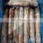 Good quality IQF frozen squid whole round roll