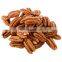 Roasted Salted Pecans and Raw Pecan Nuts with Shell wholesales prices