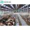 Prefab steel structure poultry cow house construction farm building