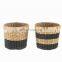 Best Seller Woven Natural Black Stripe Mini Seagrass Planter Set of 2 Storage Basket Plant Holder Wholesale