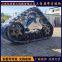 Yishou Heavy Industry Triangle Track Chassis Manufacturer's Modification and Customization