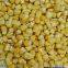 Pure nature organic freeze dried sweet corn