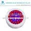 LED Grow Lights for Indoor Hydroponic System Plant 50X1W
