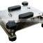 SUS304 Stainless Steel Waterproof Electronic Wash Down Bench Scale