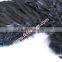 Event Decoration Craft Large Black Angel Wings Goose Feather