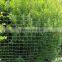 garden plastic net