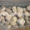 Hexagonal gabion box price